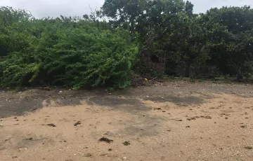 Beach lot For Sale in Lian, Batangas