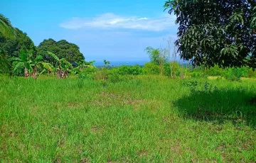 Residential Lot For Sale in Duale, Limay, Bataan