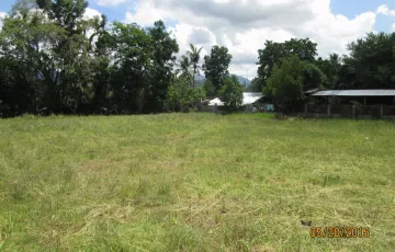 Agricultural Lot For Sale in Teniente Benito, Tubungan, Iloilo