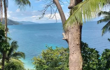 Beach lot For Sale in Poblacion, Island of garden Samal, Samal, Davao del Norte