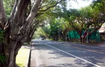 Residential Lot For Sale in Dasmariñas, Makati, Metro Manila