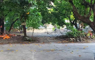 Residential Lot For Sale in Habay I, Bacoor, Cavite
