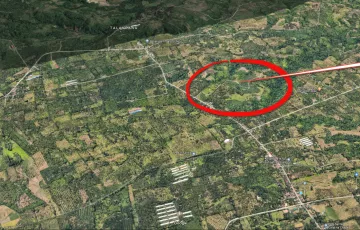 Agricultural Lot For Rent in Biao Escuela, Davao, Davao del Sur