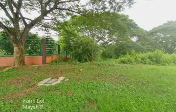 Residential Lot For Sale in Paradahan I, Tanza, Cavite