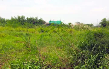 Commercial Lot For Sale in San Dionisio, Parañaque, Metro Manila