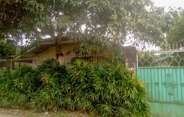 Single-family House For Sale in Linao, Ormoc, Leyte