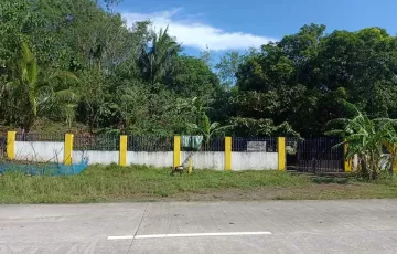 Agricultural Lot For Sale in Mayao Silangan, Lucena, Quezon