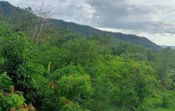 Agricultural Lot For Sale in Lucsoon, Naval, Biliran