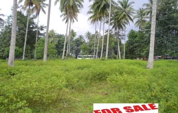 Commercial Lot For Sale in Pagalungan, Polomolok, South Cotabato