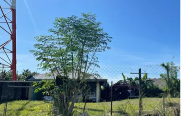 Single-family House For Rent in City Supermarket, Cabanatuan, Nueva Ecija