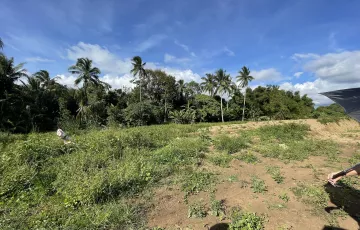 Agricultural Lot For Rent in Marahan II, Alfonso, Cavite
