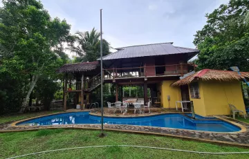 Villas For Sale in Calauan, Laguna