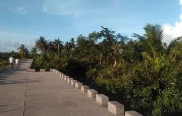 Agricultural Lot For Sale in Juban, Sorsogon