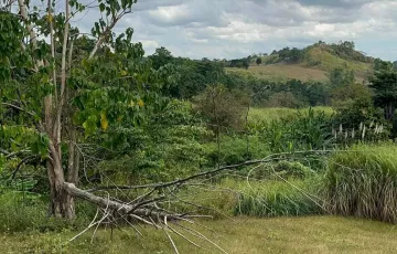 Residential Lot For Rent in Babo Pangulo, Porac, Pampanga