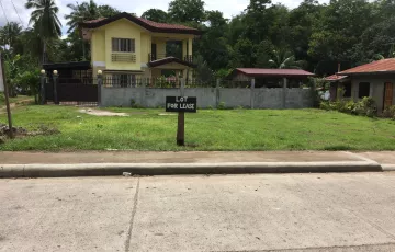Commercial Lot For Rent in Peñaplata, Island of garden Samal, Samal, Davao del Norte