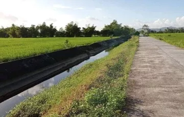 Agricultural Lot For Sale in Binanuaan, Talisay, Camarines Norte