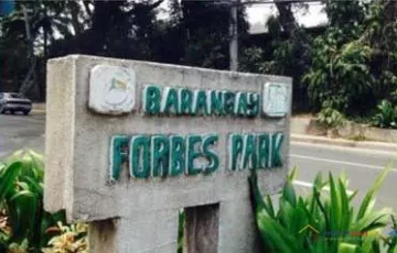 Residential Lot For Sale in Forbes Park, Makati, Metro Manila