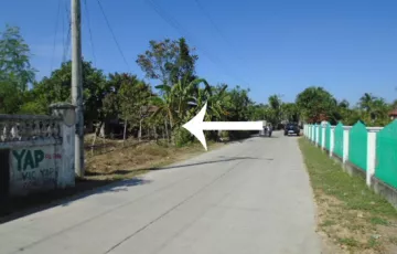 Residential Lot For Sale in San Jacinto, Victoria, Tarlac