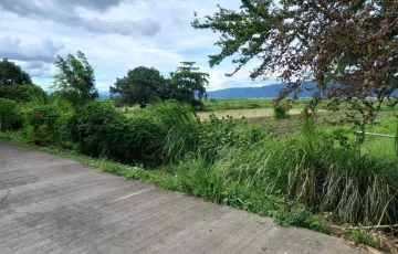 Agricultural Lot For Sale in Lumban, Laguna