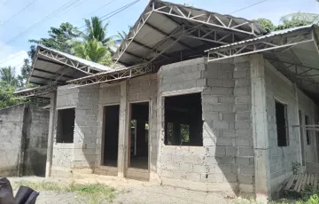 Residential Lot For Sale in Magatos, Asuncion, Davao del Norte