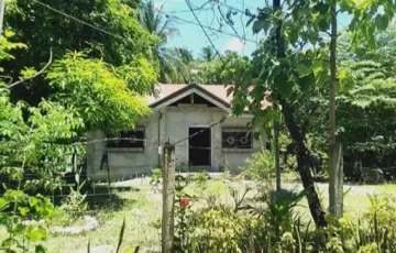 Beach House For Sale in Manaul, Mansalay, Oriental Mindoro