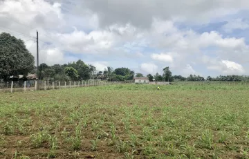 Agricultural Lot For Sale in Claveria, Misamis Oriental