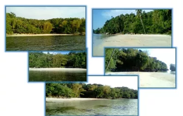 Beach lot For Sale in Barangay 3, Sipalay, Negros Occidental