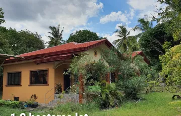 Single-family House For Sale in Maayongtubig, Dauin, Negros Oriental