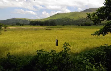 Agricultural Lot For Sale in Maloma, San Felipe, Zambales