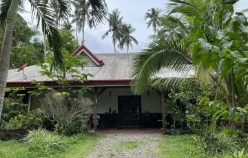 Single-family House For Rent in Poblacion, Panglao, Bohol