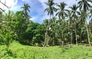 Residential Lot For Sale in Anahawan, Dauin, Negros Oriental