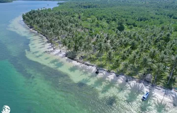 Commercial Lot For Sale in Catagupan, Balabac, Palawan