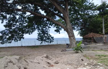 Beach lot For Sale in Bacong, Negros Oriental