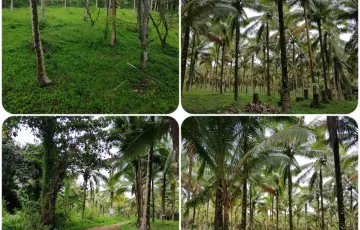 Agricultural Lot For Sale in Burgos, Aloran, Misamis Occidental