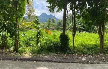 Agricultural Lot For Sale in Bongbong, Valencia, Negros Oriental