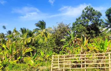 Residential Lot For Sale in Banaybanay, Amadeo, Cavite