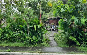 Residential Lot For Sale in Guinhalaran, Silay, Negros Occidental
