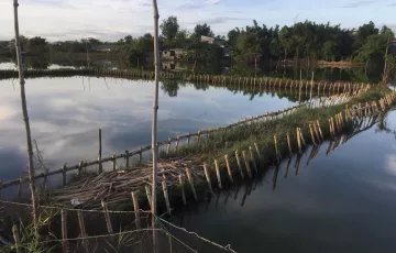 Agricultural Lot For Sale in Hagonoy, Bulacan