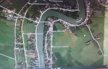 Agricultural Lot For Sale in San Agustin, San Luis, Pampanga