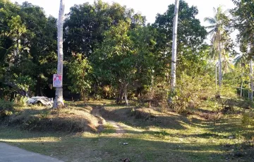 Residential Lot For Sale in Ginictan, Altavas, Aklan