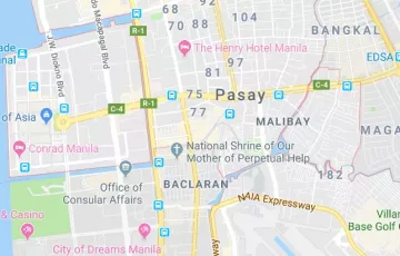 Commercial Lot For Sale in Leveriza, Pasay, Metro Manila