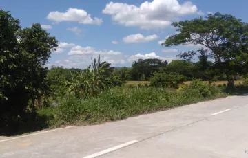 Commercial Lot For Sale in Naic, Cavite
