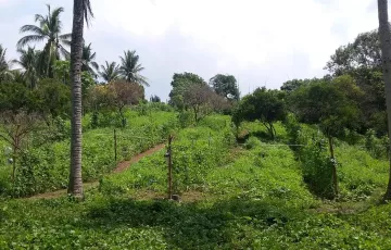 Agricultural Lot For Rent in Cabatang, Tiaong, Quezon