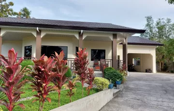 Single-family House For Sale in Masaplod Sur, Dauin, Negros Oriental