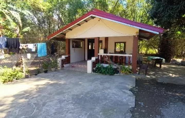 Single-family House For Sale in Naglaoa-An, Santo Domingo, Ilocos Sur