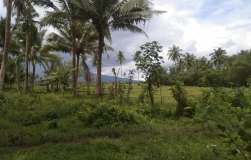 Agricultural Lot For Sale in Taytay, Goa, Camarines Sur