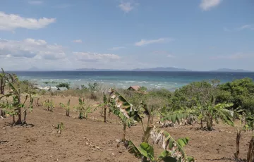 Agricultural Lot For Sale in Calatagan, Batangas