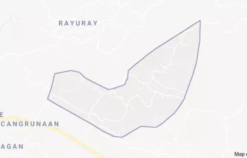 Agricultural Lot For Rent in Palongpong, Batac, Ilocos Norte