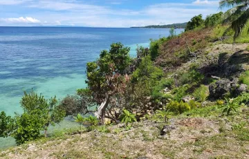 Beach lot For Sale in Consolacion, Dalaguete, Cebu