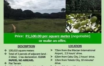 Agricultural Lot For Sale in Bato, Toledo, Cebu
